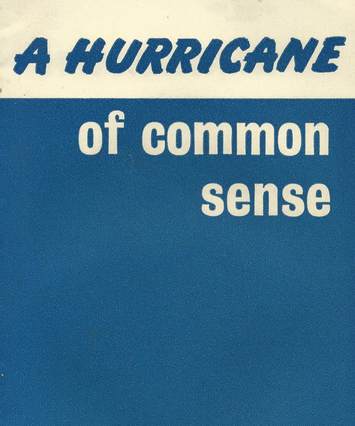 A Hurricane of Common Sense (cover)