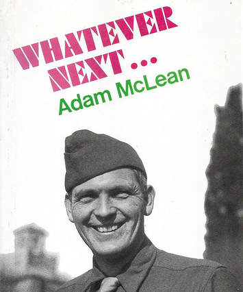 'What Next' by Adam McLean english book cover in colour