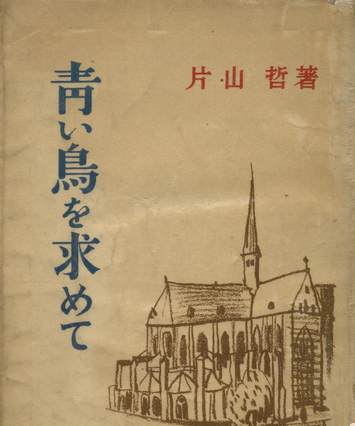 Cover of book "Searching for the blue bird"