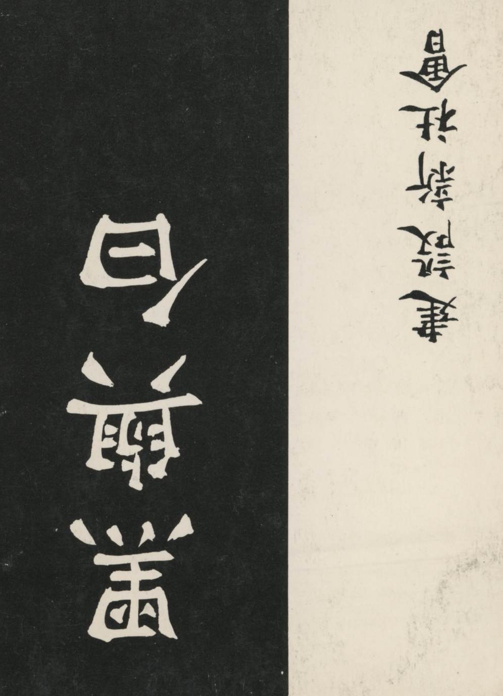 The Black and White Book (Chinese) | For a new world