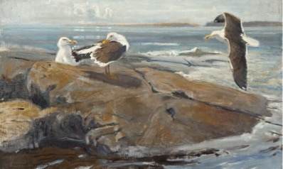 Gulls by Lennart Segerstråle