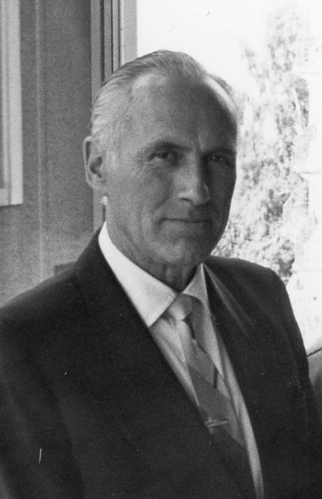 Pauli Snellman, Finish businessman